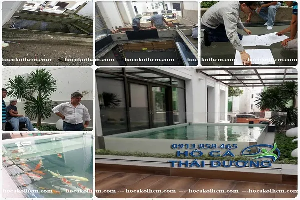 Sản phẩm lam ho ca koi ngoai troi bang kinh tai tphcm — Công Ty TNHH Sản Xuất Thương Mại Cá Kiểng Thái Dương — MST 0312134792