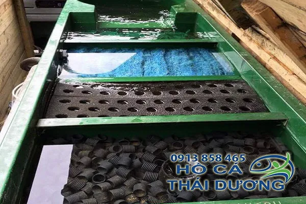 Sản phẩm loc_ho_ca_koi_ngoai_troi_gia_re_tphcm — Công Ty TNHH Sản Xuất Thương Mại Cá Kiểng Thái Dương — MST 0312134792