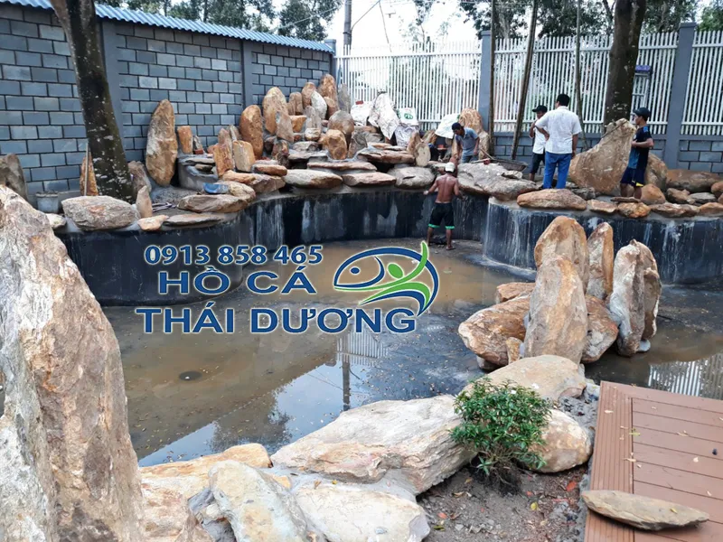Sản phẩm thiet ke ho ca koi thai duong — Công Ty TNHH Sản Xuất Thương Mại Cá Kiểng Thái Dương — MST 0312134792