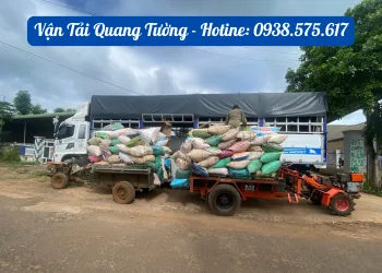 Sản phẩm D 5 — Vận Tải Quang Tường - Công Ty TNHH Giải Pháp Vận Tải Quang Tường — MST 0312147921