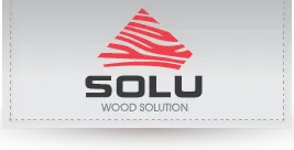 Logo Công Ty TNHH Quốc Tế Solu