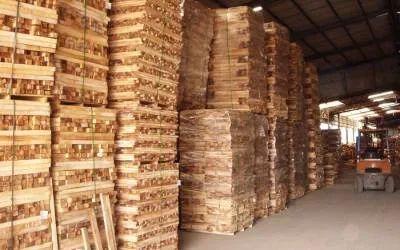 Sản phẩm gophoicaosu — Công Ty TNHH Quốc Tế Solu — MST 0312148869