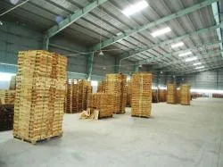 Sản phẩm 10 dong kien pallet — Công Ty TNHH Quốc Tế Solu — MST 0312148869