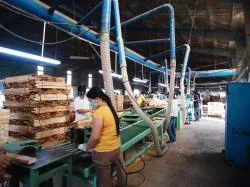 Sản phẩm 11 chuan bi bao — Công Ty TNHH Quốc Tế Solu — MST 0312148869