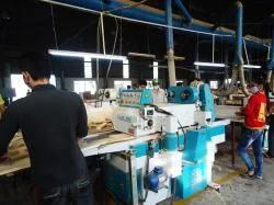 Sản phẩm 12 bao 2 mat — Công Ty TNHH Quốc Tế Solu — MST 0312148869