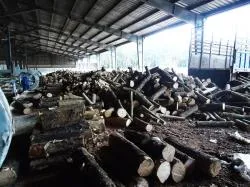 Sản phẩm 2 khu vuc cua xe — Công Ty TNHH Quốc Tế Solu — MST 0312148869