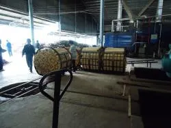Sản phẩm 4 xep vao gong chuan bi tam hoa chat — Công Ty TNHH Quốc Tế Solu — MST 0312148869