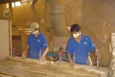 Sản phẩm photo 0 1492587286962_370_250 — Công Ty TNHH Quốc Tế Solu — MST 0312148869