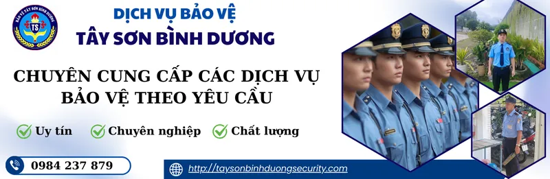 Sản phẩm 1 81030 — Bảo Vệ Tây Sơn Bình Dương - Công Ty TNHH Dịch Vụ Bảo Vệ Tây Sơn Bình Dương — MST 0312150811