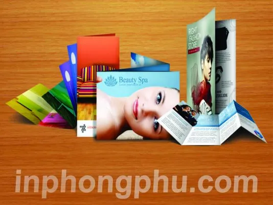 Sản phẩm 3 xuong in gia re phong phu hinh dai dien to roi brochure flyer leaflet catalogue menu to gap 534x400 — In Phong Phú - Công Ty TNHH Thương Mại In Phong Phú — MST 0312161059