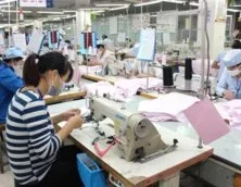 Sản phẩm 105 213 — Dây Dệt TANDT Việt Nam - Công Ty TNHH TANDT Việt Nam — MST 0312161549