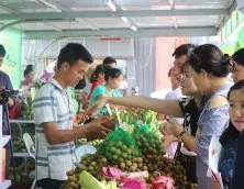 Sản phẩm 131 5948 — Dây Dệt TANDT Việt Nam - Công Ty TNHH TANDT Việt Nam — MST 0312161549