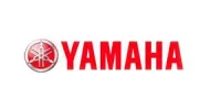 Sản phẩm 7246682479062 — Công Ty TNHH Một Thành Viên Sản Xuất Thương Mại Dịch Vụ NT Nguyễn Trần — MST 0312182531