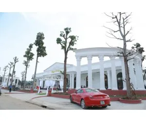 Sản phẩm trung tam tiec cuoi royal palace noi thang hoa cam xuc 300x250 — Công Ty Cổ Phần Xuất Nhập Khẩu Vách Ngăn Việt — MST 0312193903
