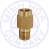 Sản phẩm Van mot chieu ren trong ren ngoai 500x500 1412822812 — Công Ty TNHH Thương Mại Dịch Vụ Xuất Nhập Khẩu Minh Hòa Thành — MST 0312196929