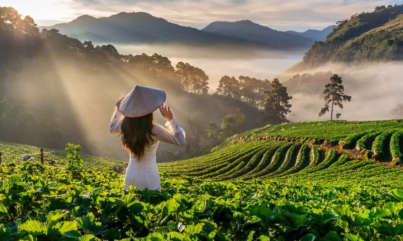 Sản phẩm 605993037650 — Phân Bón Trung Giang - Công Ty TNHH Xuất Nhập Khẩu Trung Giang — MST 0312198436