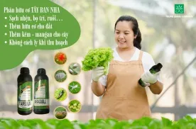 Sản phẩm bo tri nhen do nhon thuoc 5998_276x182 — Phân Bón Trung Giang - Công Ty TNHH Xuất Nhập Khẩu Trung Giang — MST 0312198436