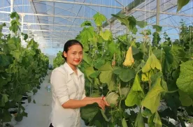 Sản phẩm ky thuat trong dua luoi hieu qua 7216_276x182 — Phân Bón Trung Giang - Công Ty TNHH Xuất Nhập Khẩu Trung Giang — MST 0312198436