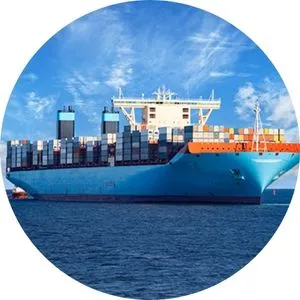 Sản phẩm dich vu xuat nhap khau dong phuong 4 — Công Ty TNHH Dịch Vụ Hàng Hóa Đông Phương — MST 0312204859
