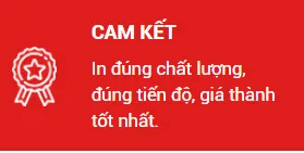 Sản phẩm cam ket — Công Ty TNHH Sản Xuất Thương Mại Liên Hương — MST 0312210330