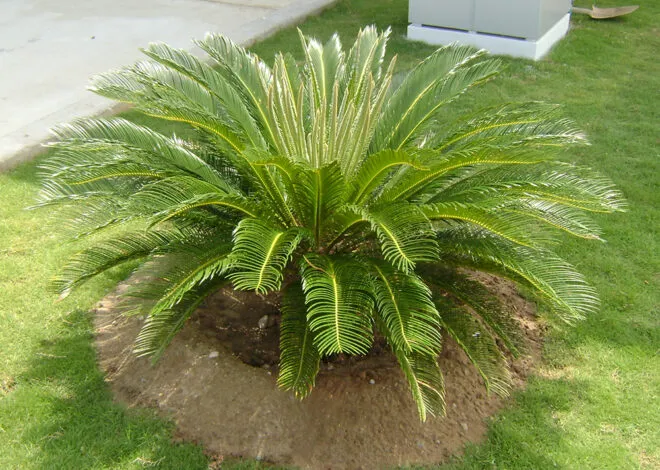 Sản phẩm 19 van tue 3253 660x470 — Công Ty TNHH Chống Thấm & Xây Dựng Phú Dũng — MST 0312218121