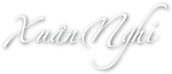 Logo Công Ty TNHH Đầu Tư Thương Mại Dịch Vụ Xuân Nghi