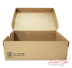Sản phẩm in xuan nghi_in hop carton dung giay 300x283 — Công Ty TNHH Đầu Tư Thương Mại Dịch Vụ Xuân Nghi — MST 0312251986