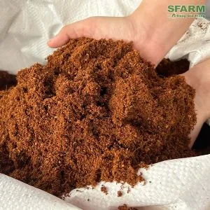 Sản phẩm chat san pham mun dua sfarm 300x300 — Công Ty TNHH Sản Xuất Thương Mại Dịch Vụ Đặng Gia Trang — MST 0312255821