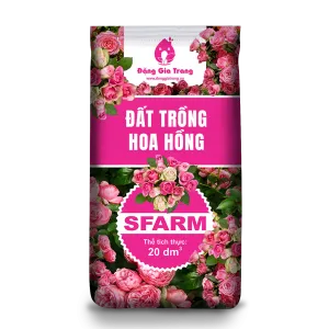 Sản phẩm DGT Bao bi dat hoa hong EDIT 300x300 — Công Ty TNHH Sản Xuất Thương Mại Dịch Vụ Đặng Gia Trang — MST 0312255821
