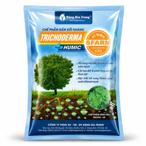 Sản phẩm 11 300x300 — Công Ty TNHH Sản Xuất Thương Mại Dịch Vụ Đặng Gia Trang — MST 0312255821
