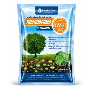 Sản phẩm 9 300x300 — Công Ty TNHH Sản Xuất Thương Mại Dịch Vụ Đặng Gia Trang — MST 0312255821