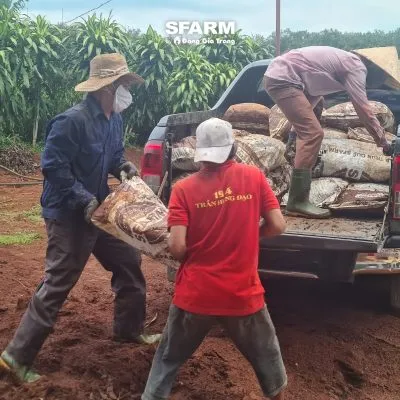 Sản phẩm khach hang sfarm 10 400x400 — Công Ty TNHH Sản Xuất Thương Mại Dịch Vụ Đặng Gia Trang — MST 0312255821