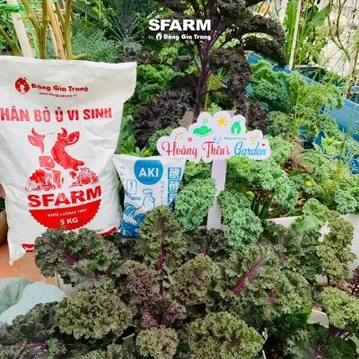 Sản phẩm khach hang sfarm 15 400x400 — Công Ty TNHH Sản Xuất Thương Mại Dịch Vụ Đặng Gia Trang — MST 0312255821