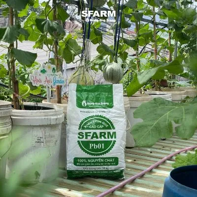Sản phẩm khach hang sfarm 16 400x400 — Công Ty TNHH Sản Xuất Thương Mại Dịch Vụ Đặng Gia Trang — MST 0312255821