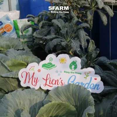 Sản phẩm khach hang sfarm 17 400x400 — Công Ty TNHH Sản Xuất Thương Mại Dịch Vụ Đặng Gia Trang — MST 0312255821