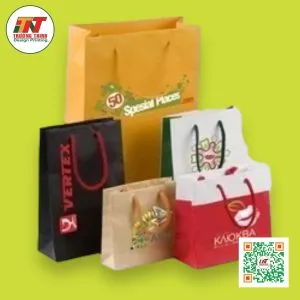 Sản phẩm tui xach giay 5 300x300 — In Ấn Trường Thịnh - Công Ty TNHH In Ấn Trường Thịnh — MST 0312260035