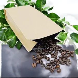 Sản phẩm TUI GIAY KRAFT 4 CACH 3 300x300 — In Ấn Trường Thịnh - Công Ty TNHH In Ấn Trường Thịnh — MST 0312260035