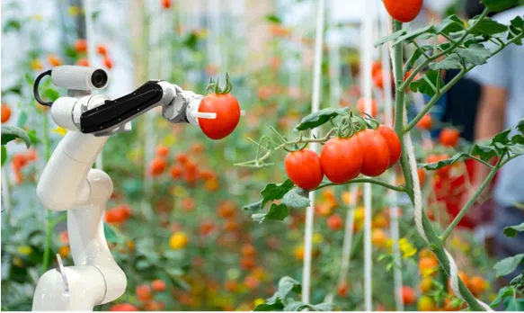 Sản phẩm agritech 3 — Công Ty TNHH Thủy Tinh Sài Gòn — MST 0312260772