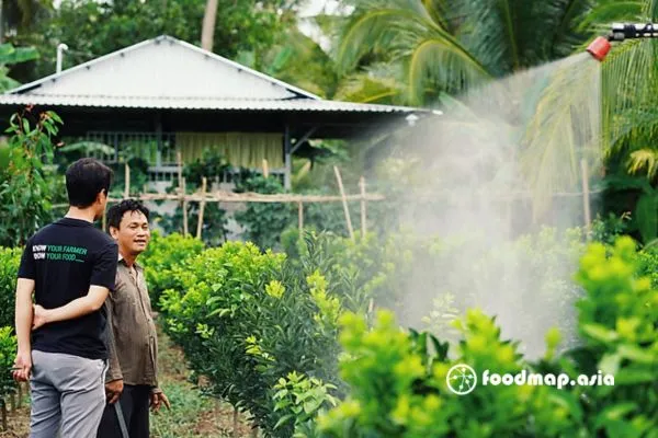 Sản phẩm mo hinh canh tac cam huu co — Công Ty TNHH Thủy Tinh Sài Gòn — MST 0312260772
