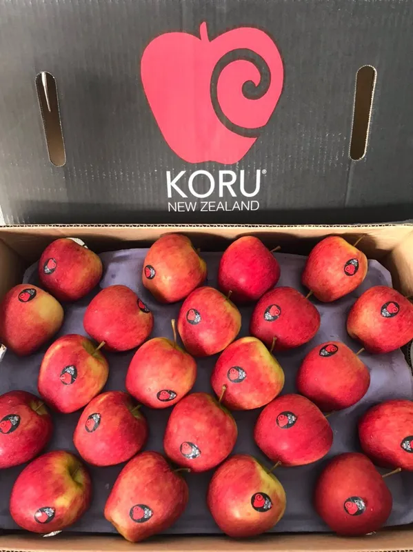 Sản phẩm tao mat koru new zealand s90 foodmap fruits_64eb8647aea90 — Công Ty TNHH Thủy Tinh Sài Gòn — MST 0312260772