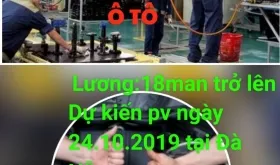Sản phẩm 2e26743f5648b016e959 3155_280x165 — Công Ty CP Sei Jin Việt Nam — MST 0312305134