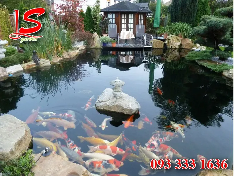 Sản phẩm ho ca koi tai quan 4 5 — Công Ty TNHH Sân Vườn Lâm Sơn — MST 0312310751