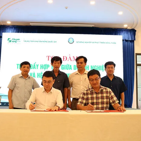 Sản phẩm anh the circle — Công Ty Cổ Phần Dầu Khí Hồng Hà — MST 0312327177