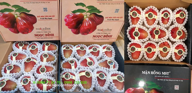 Sản phẩm MAN DONG HOP3 — Công Ty TNHH Thương Mại Dịch Vụ Nông Sản Ngọc Đỉnh — MST 0312347374