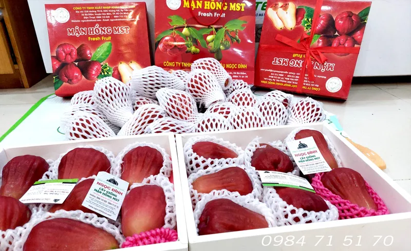 Sản phẩm MN HNG MST 43 — Công Ty TNHH Thương Mại Dịch Vụ Nông Sản Ngọc Đỉnh — MST 0312347374