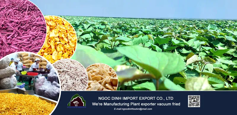 Sản phẩm Vacuum Fried Fruit 6 — Công Ty TNHH Thương Mại Dịch Vụ Nông Sản Ngọc Đỉnh — MST 0312347374