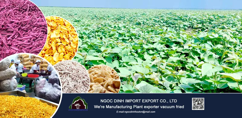 Sản phẩm Vacuum Fried Fruit 7 — Công Ty TNHH Thương Mại Dịch Vụ Nông Sản Ngọc Đỉnh — MST 0312347374