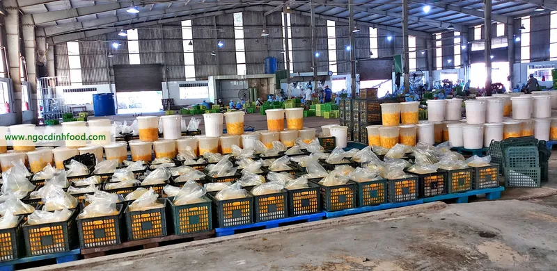 Sản phẩm XOAI SAY DEO 1 — Công Ty TNHH Thương Mại Dịch Vụ Nông Sản Ngọc Đỉnh — MST 0312347374