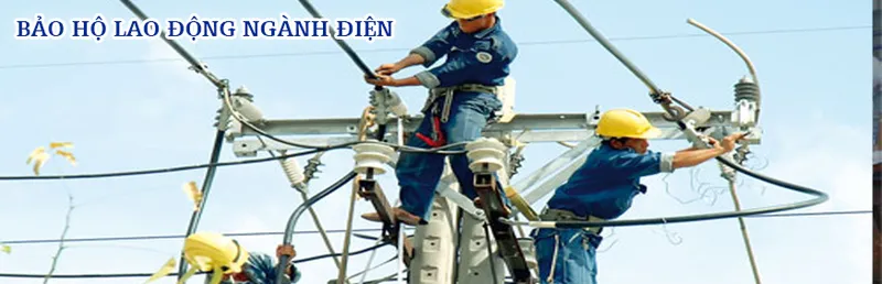 Sản phẩm 668543740546928 — Công Ty TNHH Trang Thiết Bị Bảo Hộ Thiên Phúc — MST 0312349692