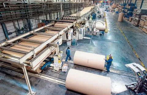 Sản phẩm 1575862200_9 — Màng PE Thiên Hoàng Kim - Công Ty TNHH Sản Xuất Thương Mại Dịch Vụ Thiên Hoàng
Kim — MST 0312365574
